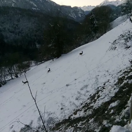 La Petite Grange * Villars-sur-Ollon