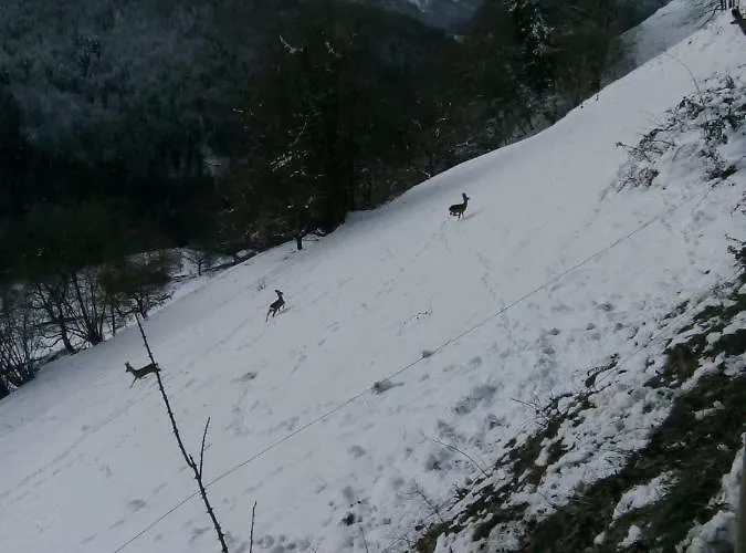 La Petite Grange * Villars-sur-Ollon